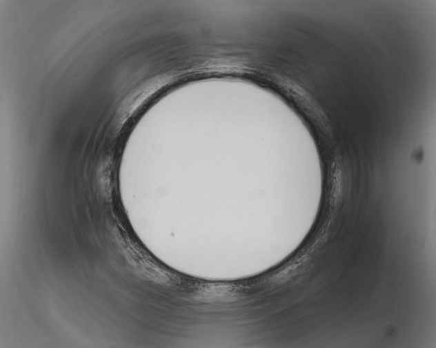 X0000115101162200912081252