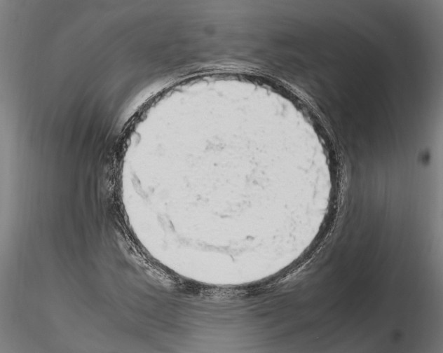 X0000115101163200912081252