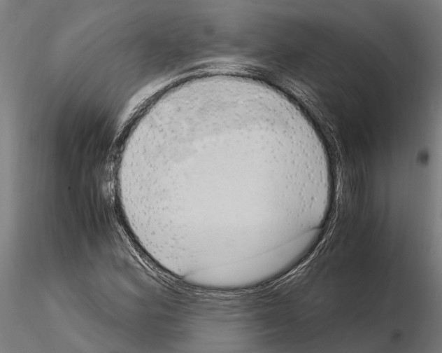 X0000115101164200912081252