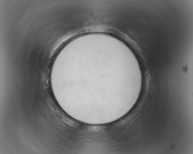 X0000115101166200912081252