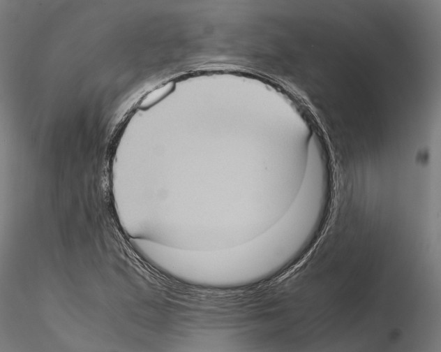 X0000115101167200912081252