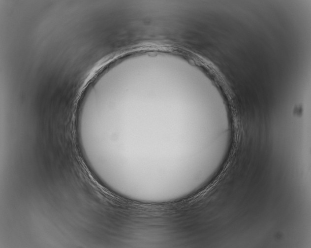 X0000115101168200912081252