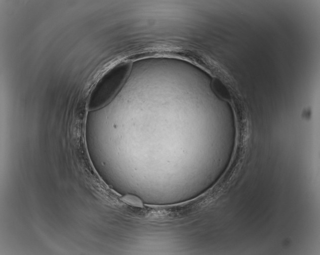 X0000115101169200912081252