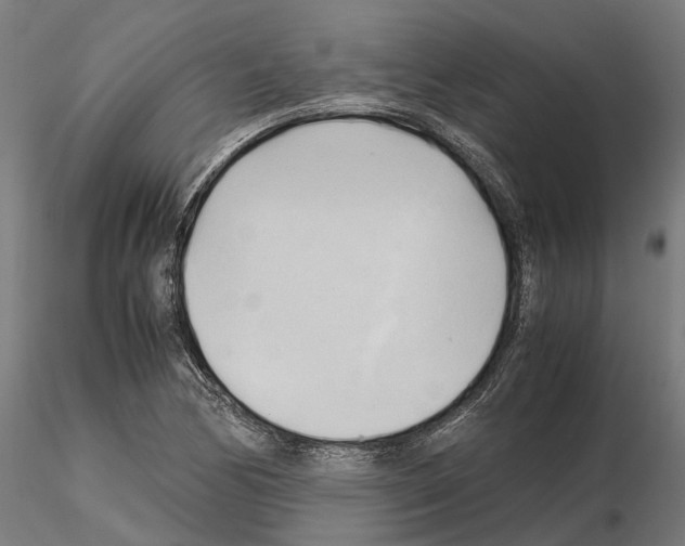 X0000115101170200912081252