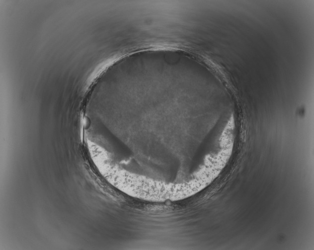 X0000115101171200912081252