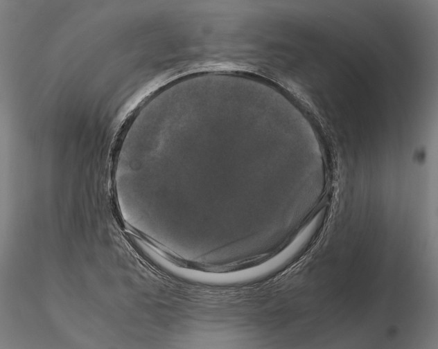 X0000115101173200912081252