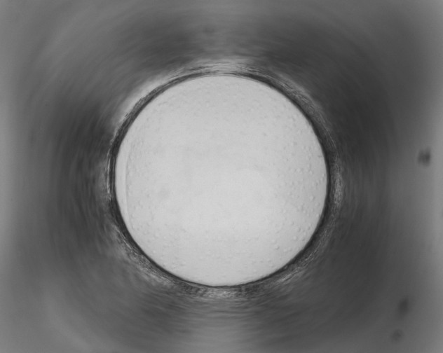 X0000115101174200912081252