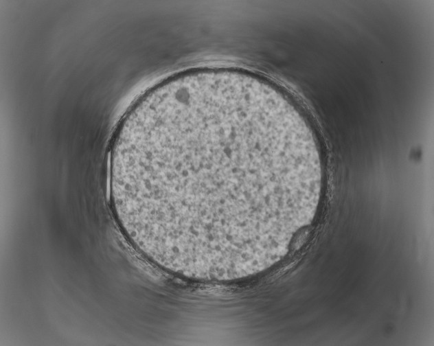 X0000115101175200912081252