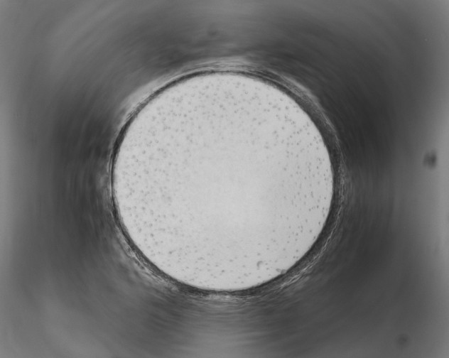 X0000115101176200912081252