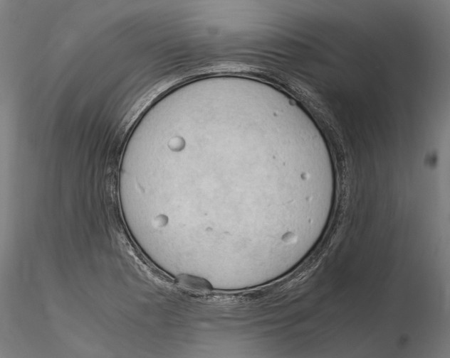 X0000115101177200912081252