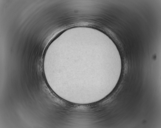 X0000115101178200912081252