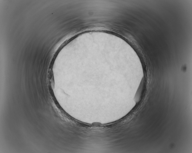 X0000115101181200912081252