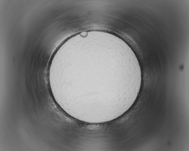 X0000115101182200912081252