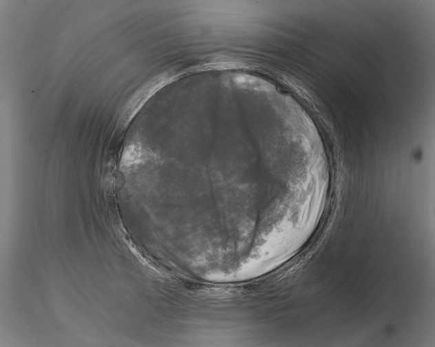 X0000115101185200912081252