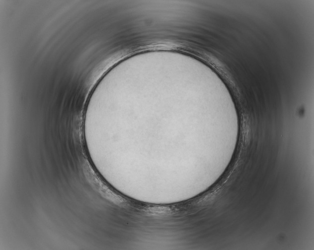 X0000115101186200912081252