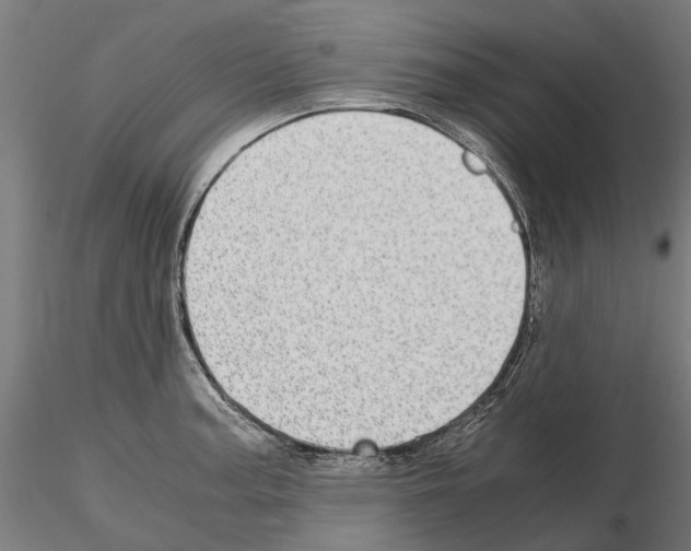 X0000115101187200912081252