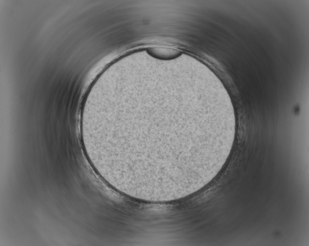 X0000115101188200912081251