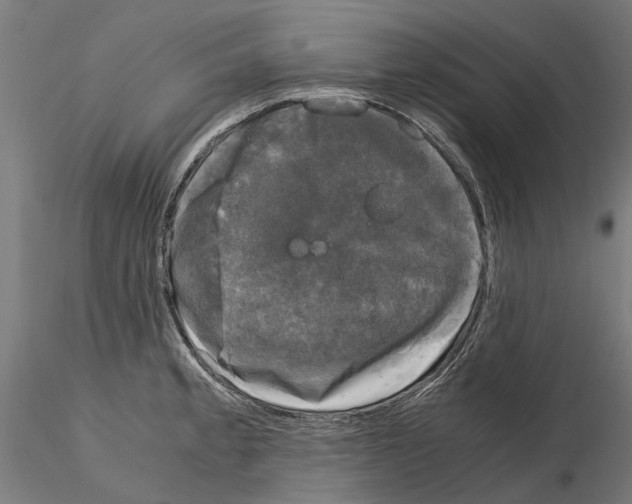 X0000115101189200912081251