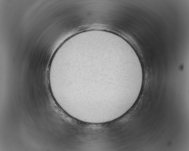 X0000115101190200912081251