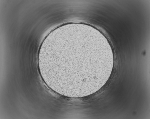 X0000115101191200912081251