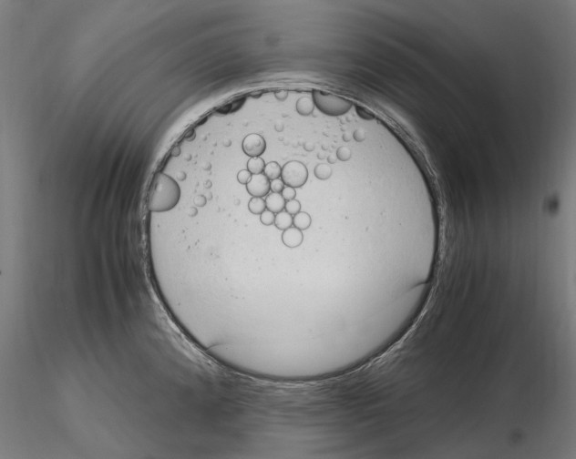 X0000115101192200912081251