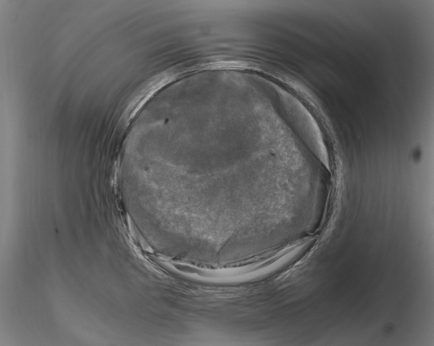 X0000115101193200912081251