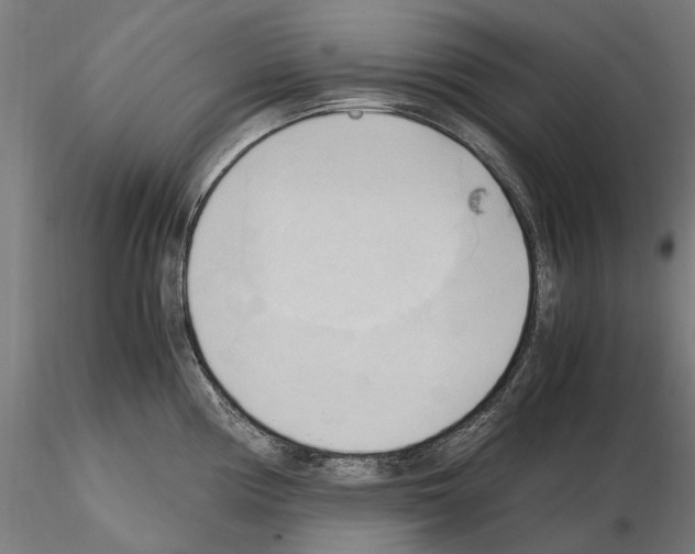 X0000115101194200912081251