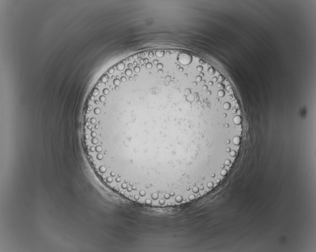 X0000115101195200912081251