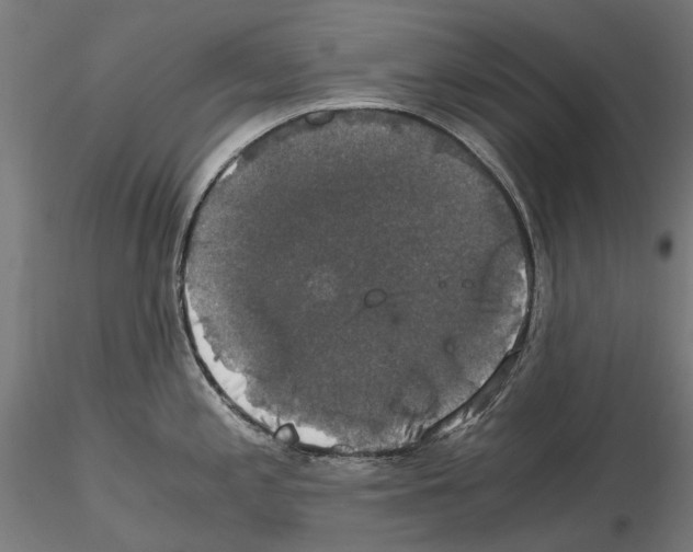 X0000115101197200912081251