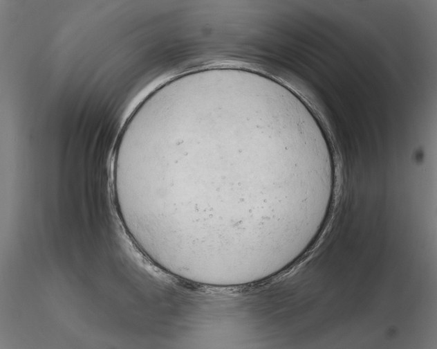 X0000115101198200912081251