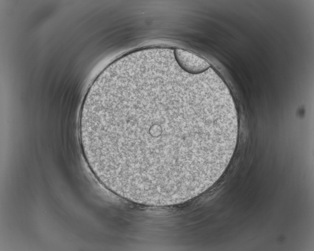 X0000115101199200912081251