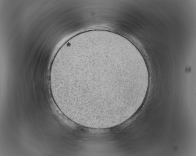 X0000115101200200912081251