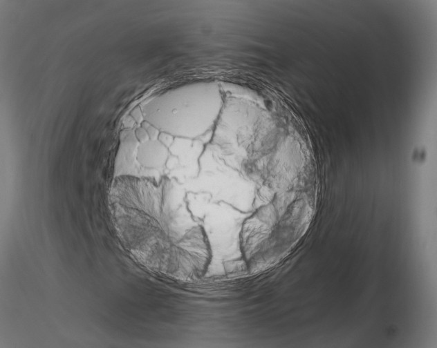 X0000115101201200912081250