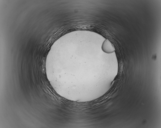 X0000115101202200912081251