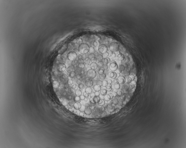 X0000115101205200912081251