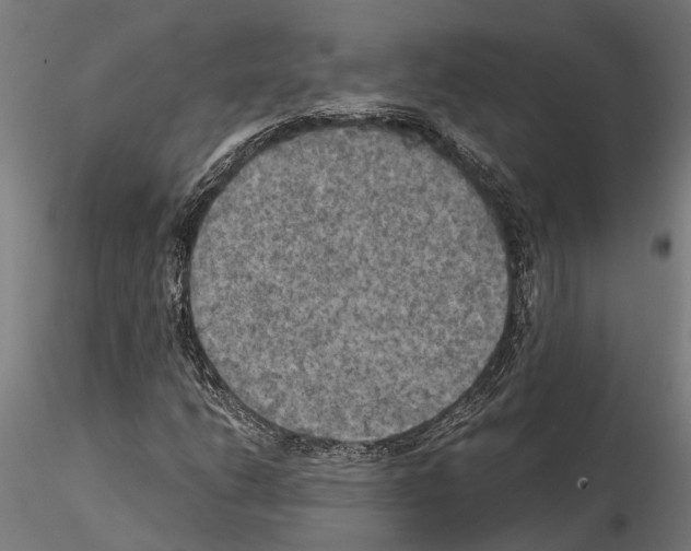 X0000115101206200912081251