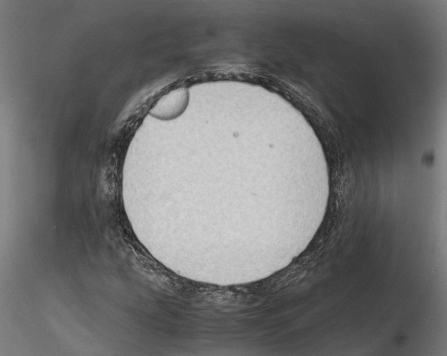 X0000115101207200912081251