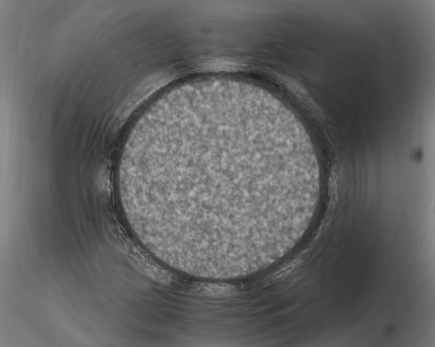 X0000115101209200912081251