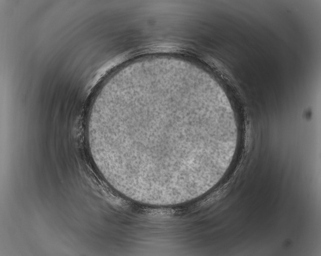 X0000115101210200912081251