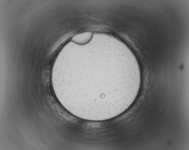 X0000115101211200912081251