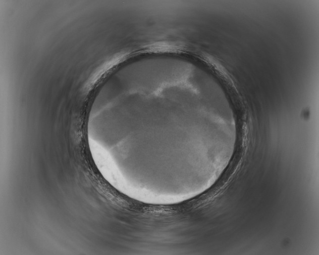 X0000115101213200912081251