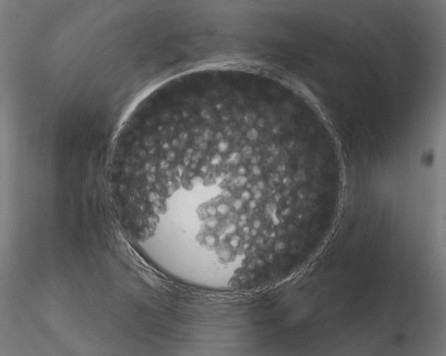 X0000115101216200912081251