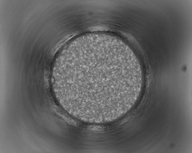 X0000115101217200912081251