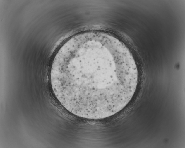 X0000115101218200912081251