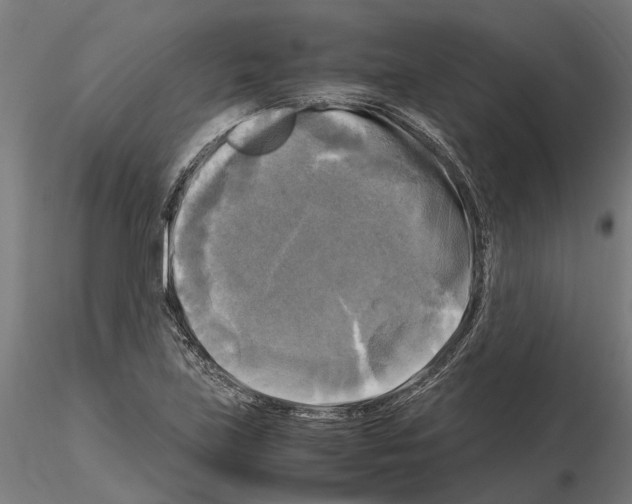 X0000115101219200912081251