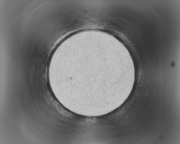 X0000115101220200912081251