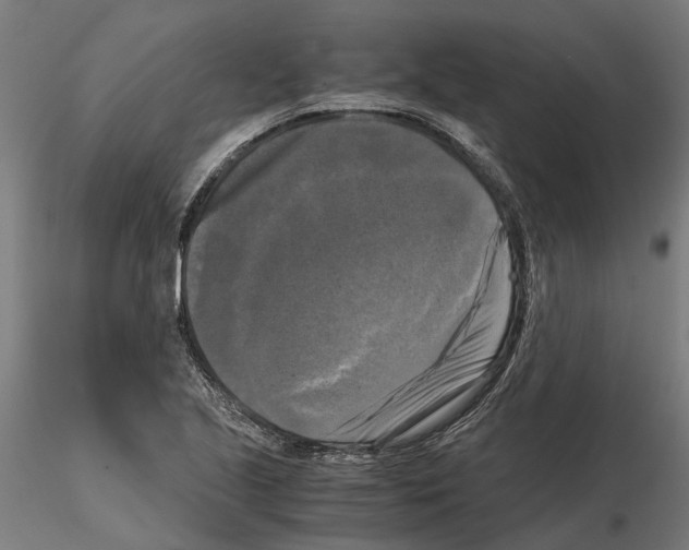 X0000115101221200912081251