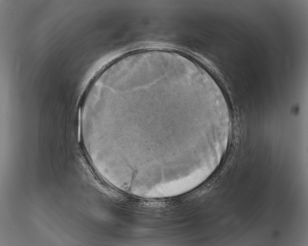 X0000115101223200912081251