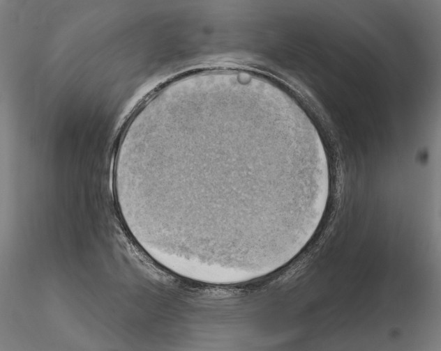 X0000115101224200912081251