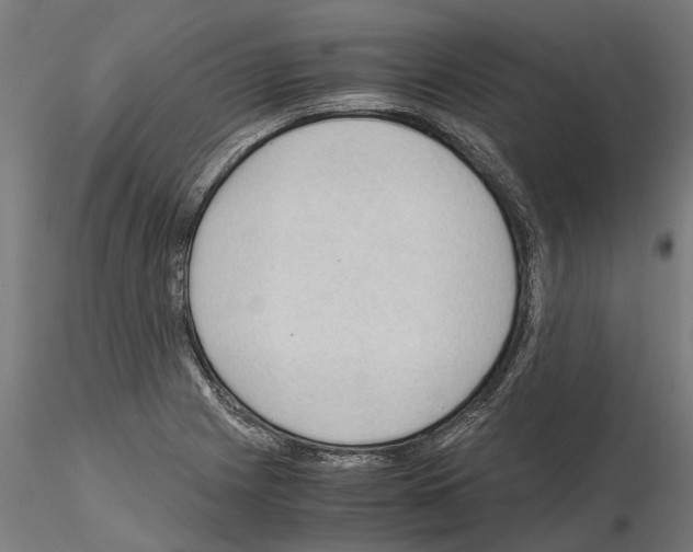 X0000115101225200912081251